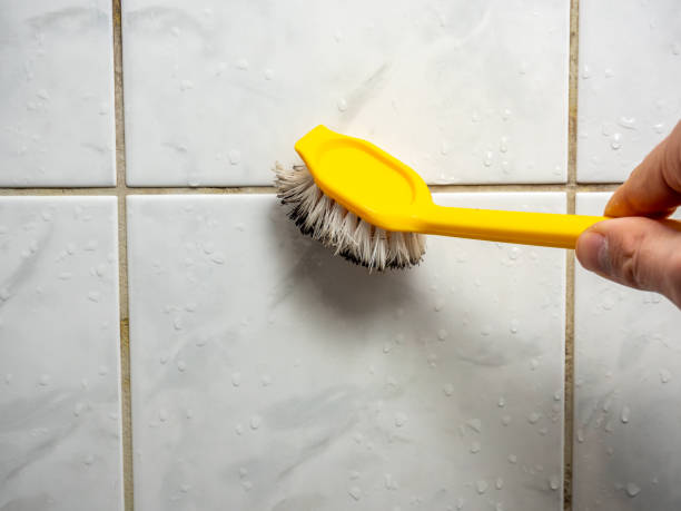 Best Mold Removal Near Me  in Carbondale, CO
