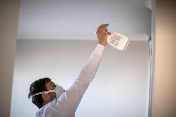 Best Crawl Space Mold Removal  in Carbondale, CO